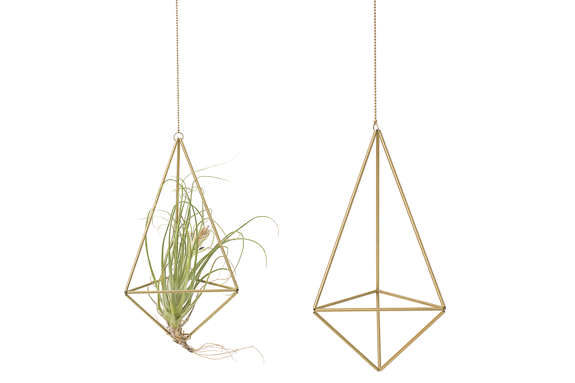 Hanging Brass Plant Holder